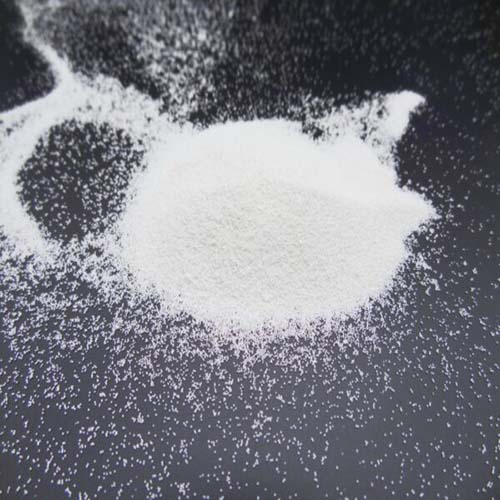 DSC02430_Copy-600x450